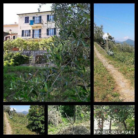 Rural House Rondini Ξενοδοχείο Camposasco Εξωτερικό φωτογραφία