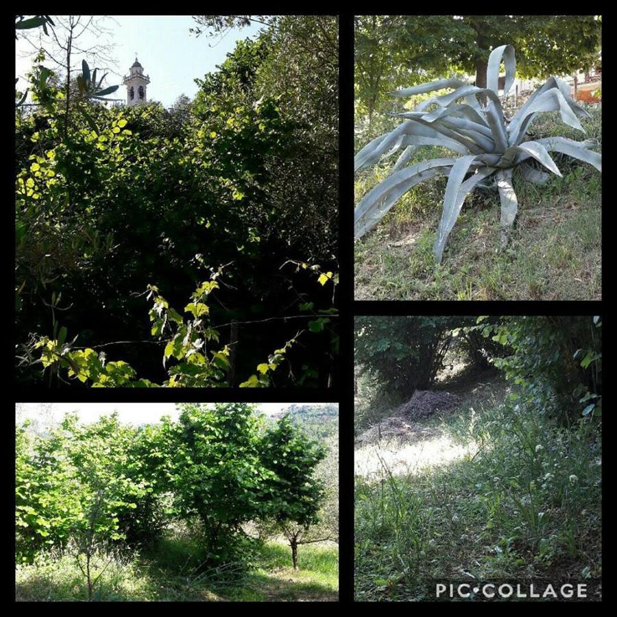 Rural House Rondini Ξενοδοχείο Camposasco Εξωτερικό φωτογραφία