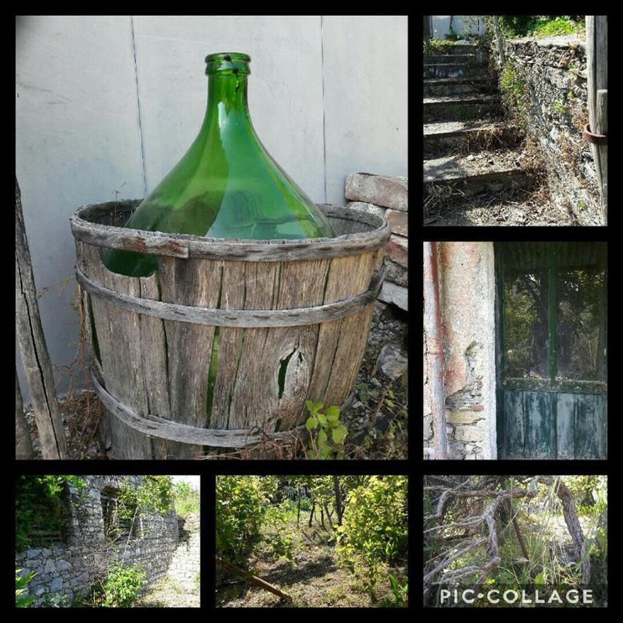 Rural House Rondini Ξενοδοχείο Camposasco Εξωτερικό φωτογραφία