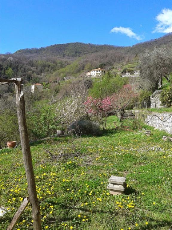 Rural House Rondini Ξενοδοχείο Camposasco Εξωτερικό φωτογραφία