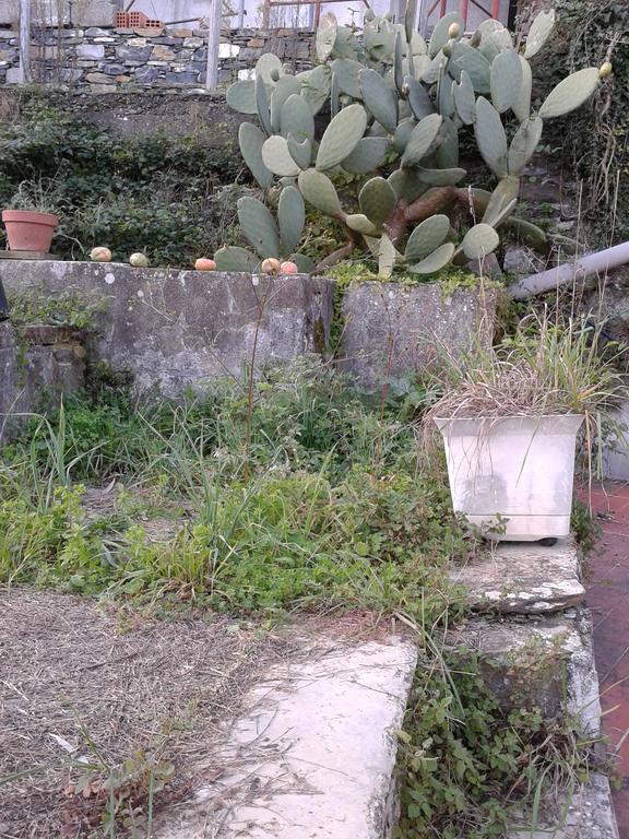 Rural House Rondini Ξενοδοχείο Camposasco Εξωτερικό φωτογραφία